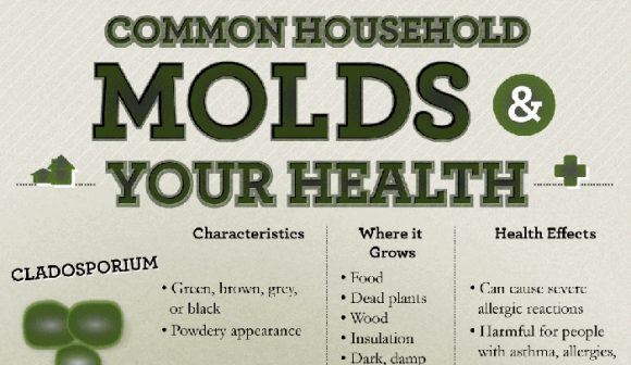 Common Black Mold Problems, Black Mold